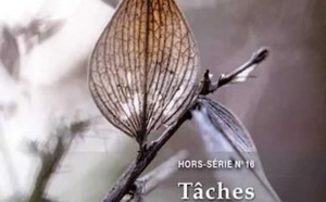 Le Hors Série 16 de la Revue Hypnose et Thérapies Brèves sur les tâches thérapeutiques.